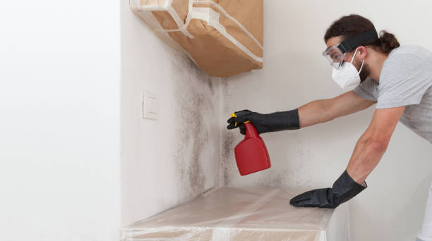 Professional Crawl Space Mold Removal technician working in Cecilia, KY